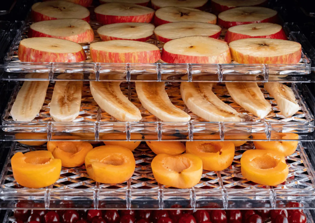 Food Drying Temperature
